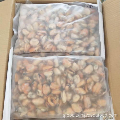 Mussel Meat Frozen Boiled Mussel Meat Manufactory